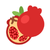 Pomegranate Icon