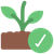 Plantation-Ready Icon